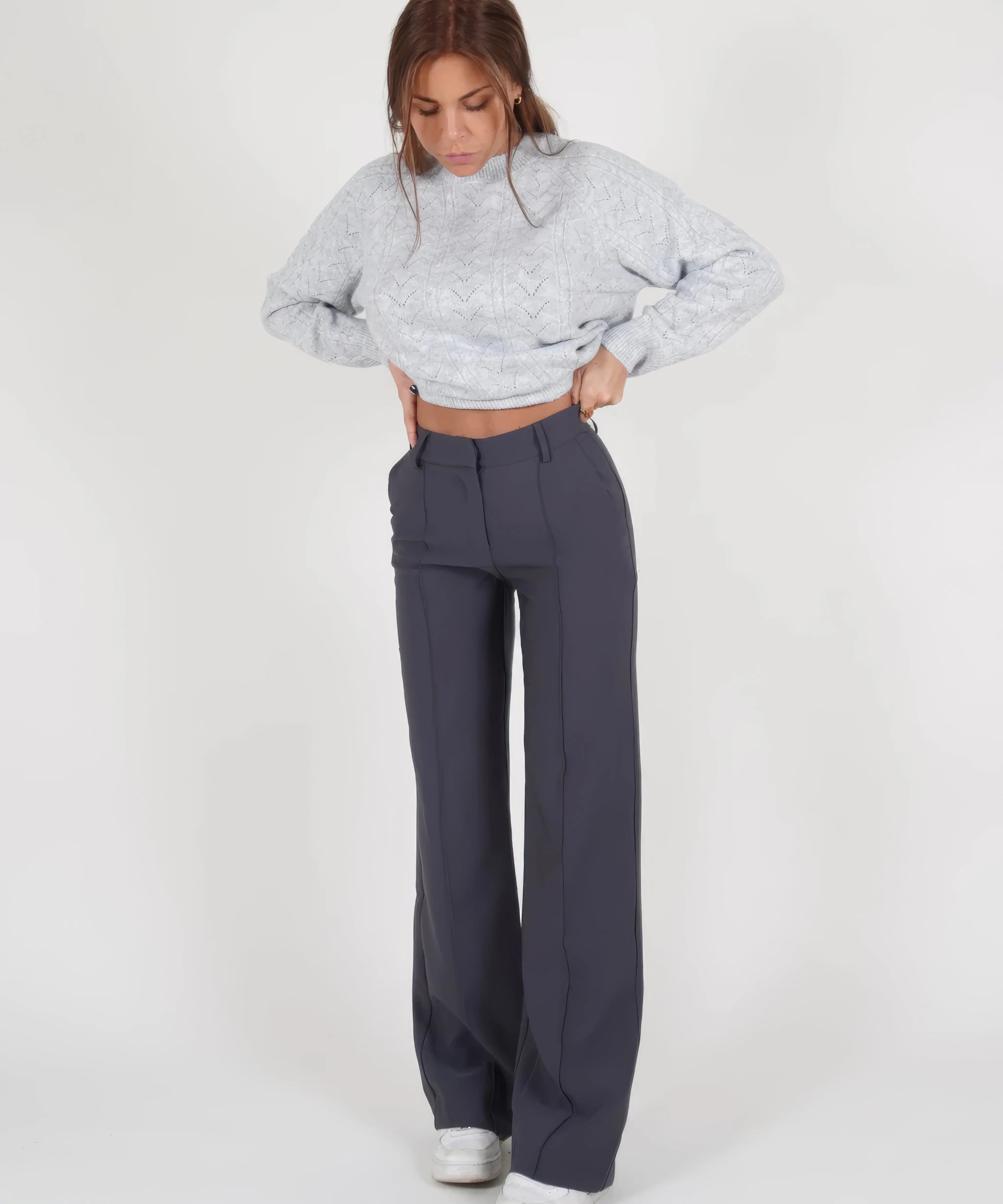 Elevate Your Style with AMY's Wide-Leg Chic Trousers for Women - Lizabella Fashion