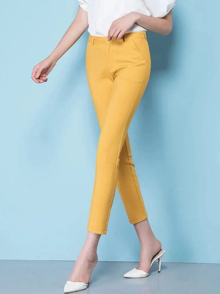 JANE | Chic High-Waisted Stretch Pants for Curvy Women - Lizabella Fashion