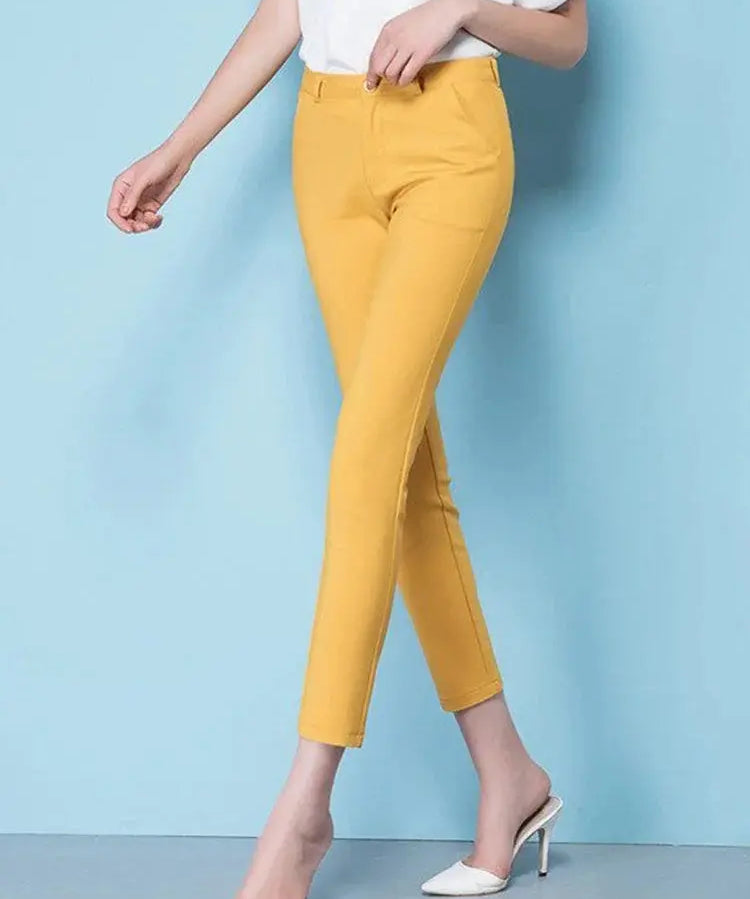 JANE | Chic High-Waisted Stretch Pants for Curvy Women - Lizabella Fashion